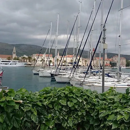 Cvita Trogir